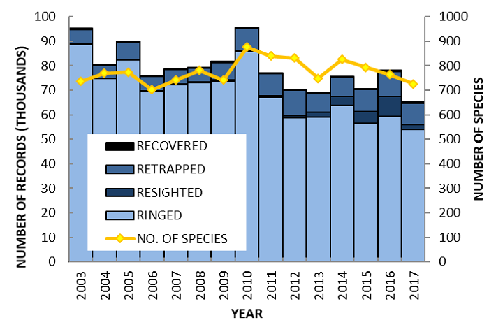 Figure 1: Trend in ringing effort over fifteen years from 2003 to 2017