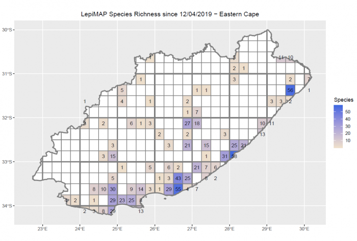 Number of species of butterflies recorded in each quarter degree grid cell in the Eastern Cape in the year since 1 April 2019