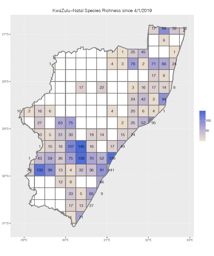 Number of species recorded in BirdPix in each quarter degree grid cell in KwaZulu-Natal over past 12 months