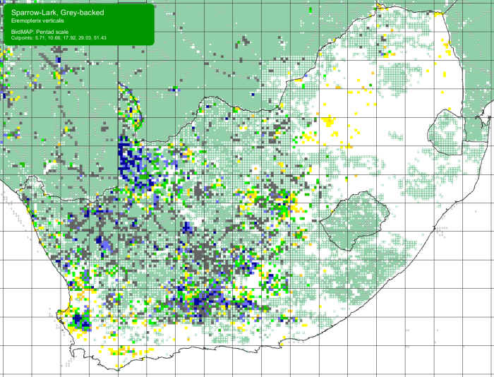 SABAP2 distribution map for Grey-backed Sparrow-lark