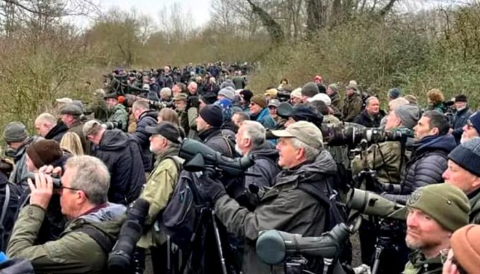 Twitchers