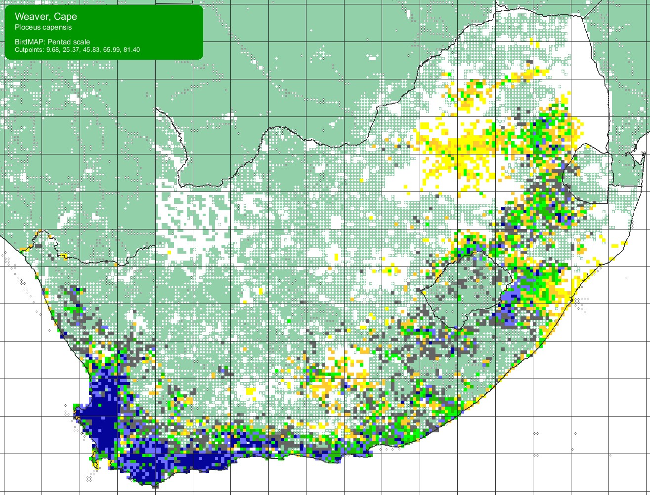 Establishing a long-term bird ringing site. Part 2: some birds | BDI