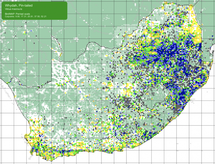 SABAP2 distribution map for Pin-tailed Whydah (Vidua macroura). 