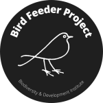 Bird Feeder Project: Karis Daniel & Megan Loftie-Eaton
