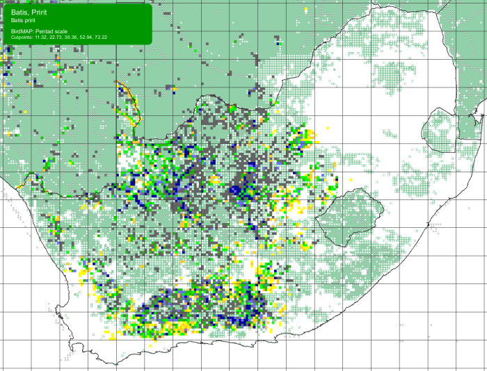 SABAP2 distribution map for Pririt Batis