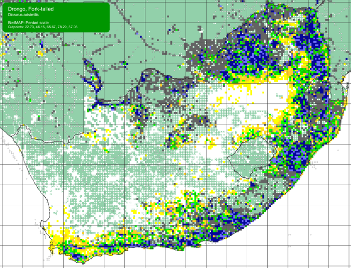 SABAP2 distribution map for Fort-tailked Drongo