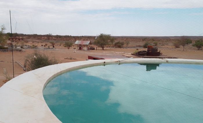 Swimming pool Alte Kalköfen bird observatory February 2025