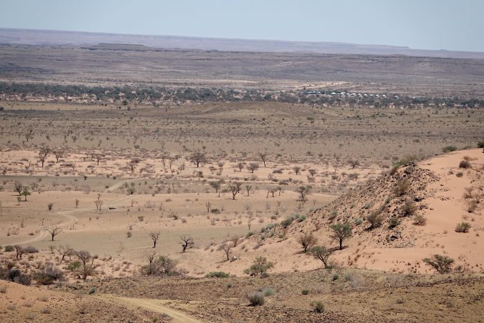 Gurib River in the distance: Alte Kalköfen bird observatory February 2025