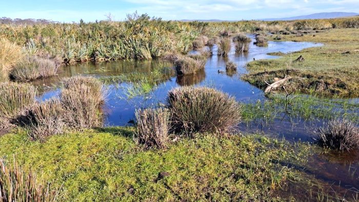 Mosaic of wetlands at Nuwejaars