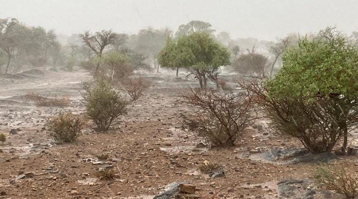 Rain Alte Kalköfen bird observatory February 2025