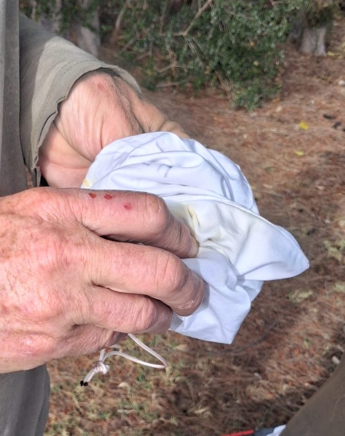 What's in the bag: Bird ringing Nuwejaars Wetlands September 2025