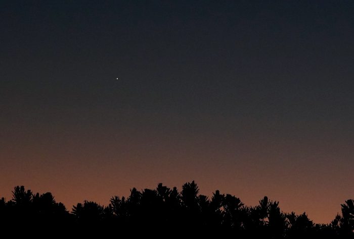 Venus, the "morning star"