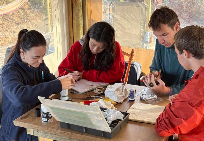 Four trainee ringers - Bird ringing at Ouberg February 2025