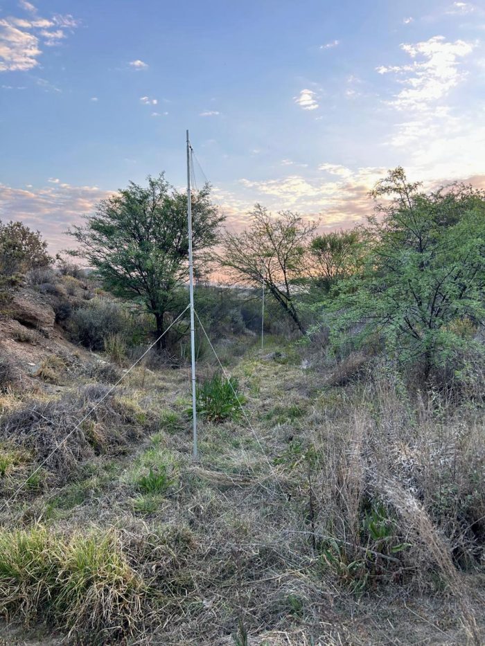 Bird ringing at Ouberg October 2025 : mist nets up