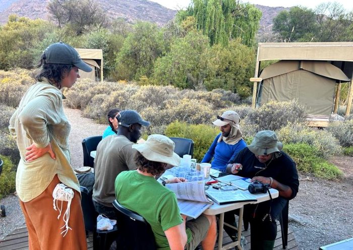 Bird ringing at Ouberg October 2025