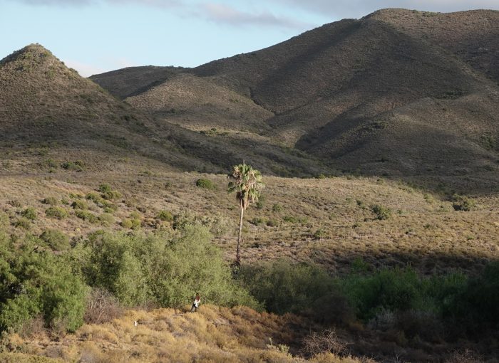Ouberg Private Nature Reserve