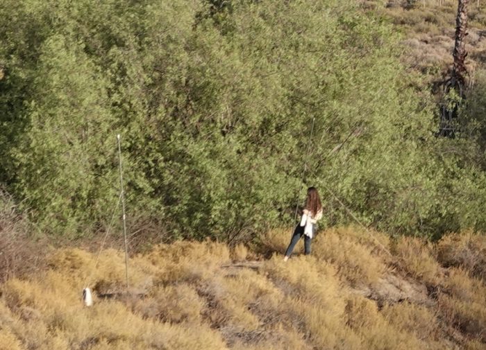 The nets are open at Ouberg Private Nature Reserve