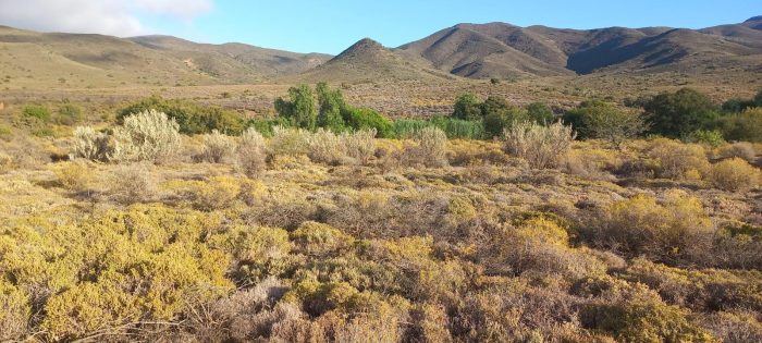 Ouberg Private Nature Reserve