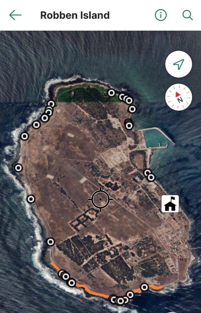 African Oystercatcher monitoring on Robben Island