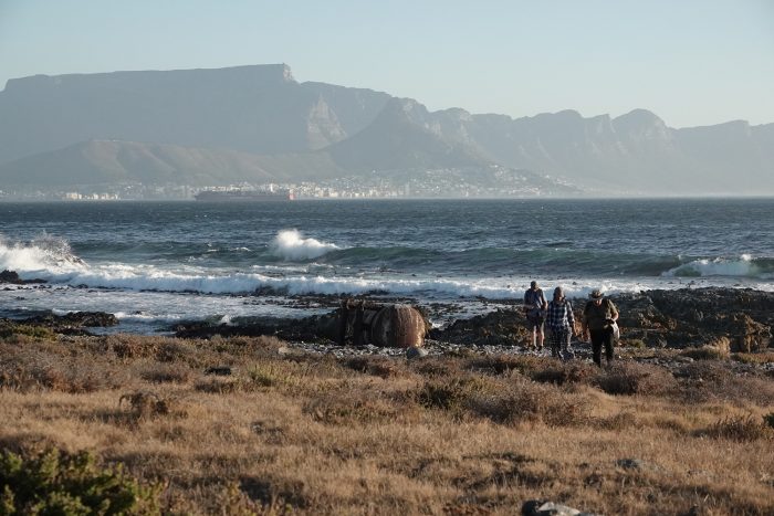 African Oystercatcher monitoring on Robben Island
