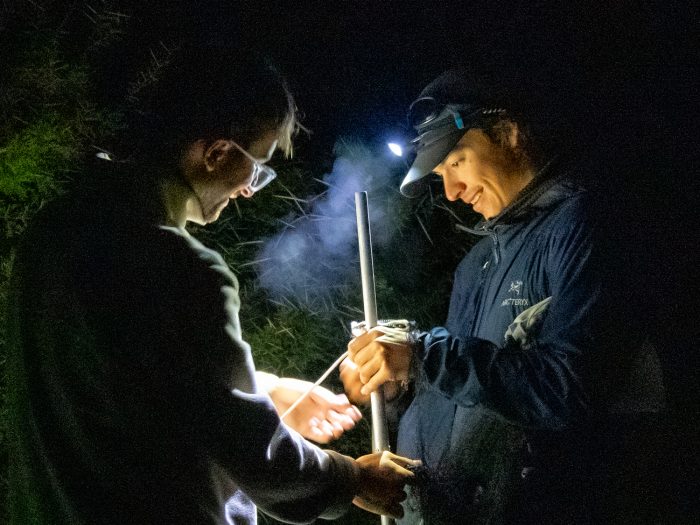 Bird ringing Ouberg May-June 2026