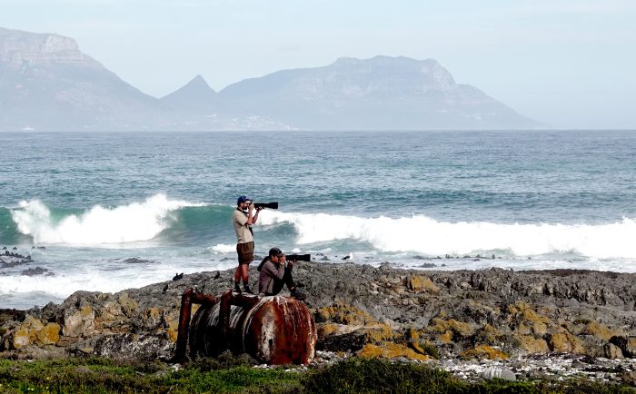 Achot and Joel: African Oystercatcher count June 2026