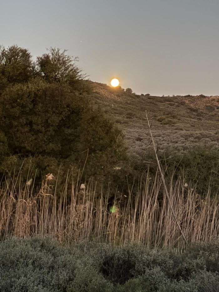 Blue moon rising