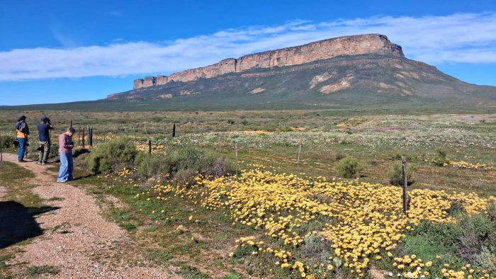 The Maskam, and the wildflowers