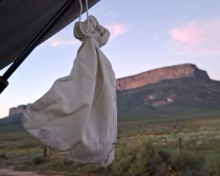 The bag contains a Cape Clapper Lark : Bird ringing near the Maskam