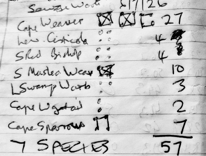list of birds ringed : Bird ringing near the Maskam