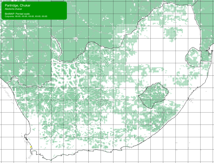 SABAP2 distribution map for Chukar Partridge