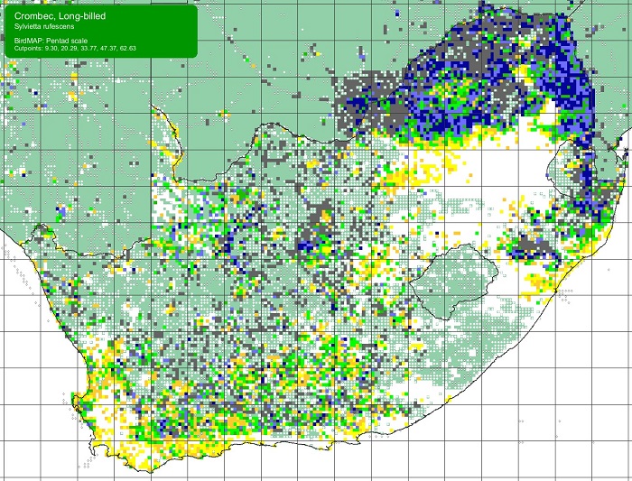 SABAP2 distribution map : Long-billed Crombec (Sylvietta rufescens)