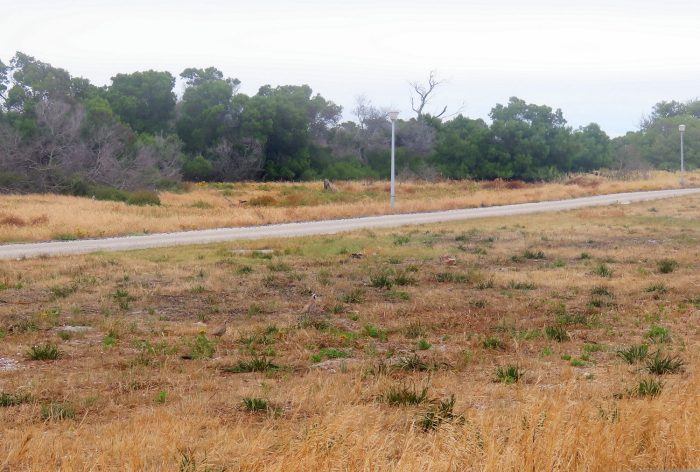 Habitat