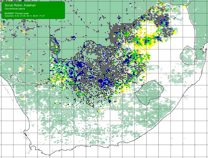 SABAP2 distribution map Kalahari Scrub Robin (Cercotrichas galactotes)